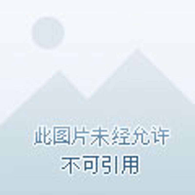 大数据分析选购指南：为企业插上智慧之翼
